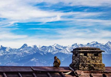 Complete Hill Tour from Amritsar