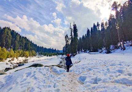 Kashmir Snow Tour from Chandigarh