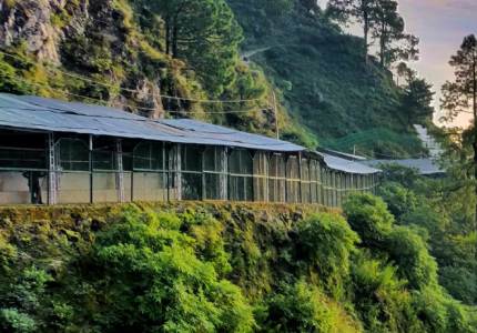 Vaishno Devi Darshan