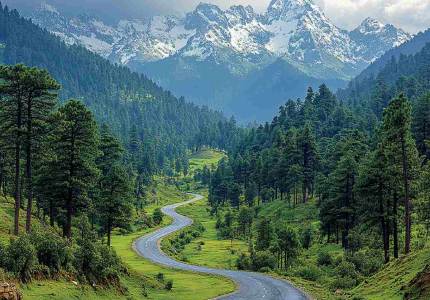 Explore Dalhousie & Dharamshala from Amritsar