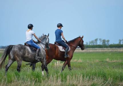 Amritsar to Dharamshala & Manali Hill Tour