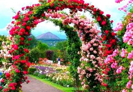 Amritsar to Shimla & Manali Tour from Chandigarh