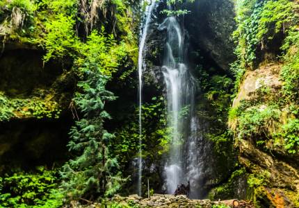 Amritsar to Dharamshala & Manali Hill Tour