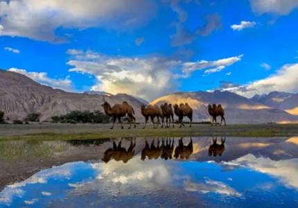 Leh-Ladakh Tour Starting from Chandigarh