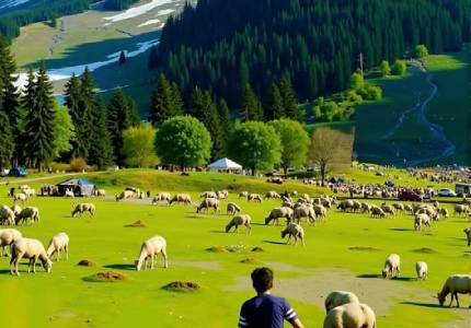 Explore Kashmir: Srinagar, Gulmarg, Sonmarg & Pahalgam